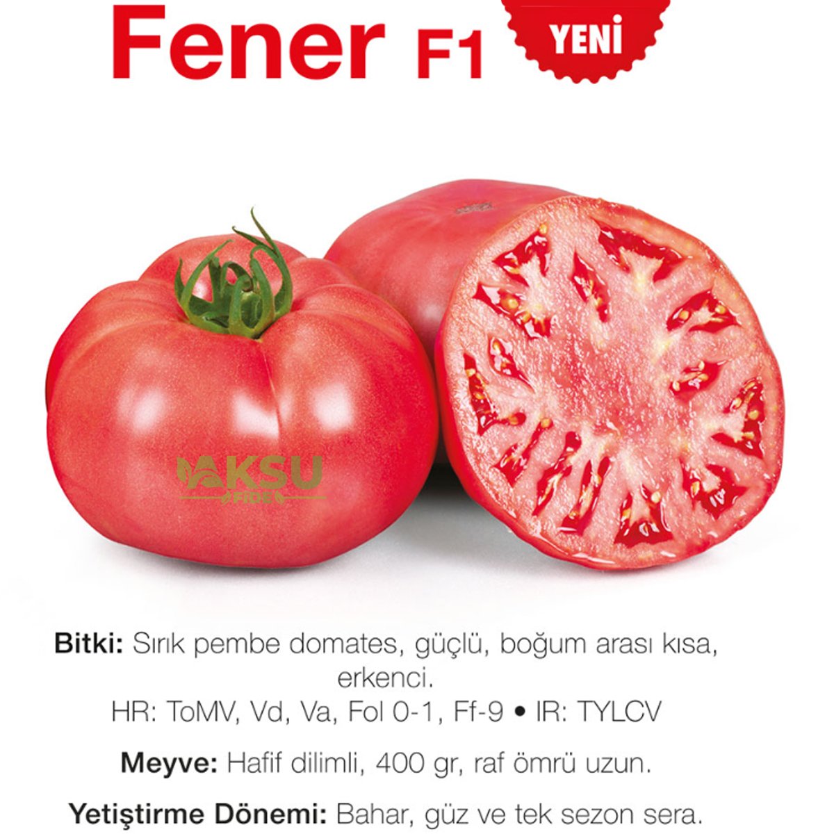 fener sırık pembe domates fidesi