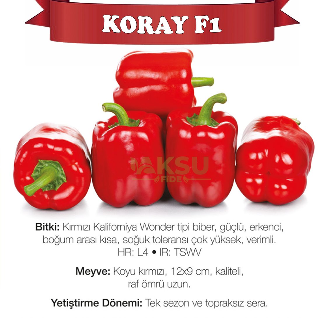 koray kırmızı dolma biber tohumu yüksel tohum